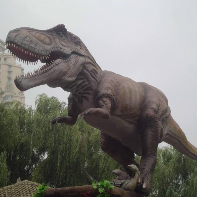 image003
