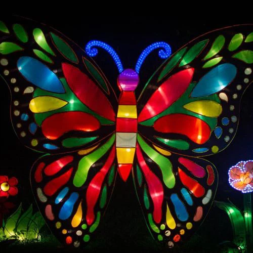 Нов Фестивал на шоуто за градински дисплей